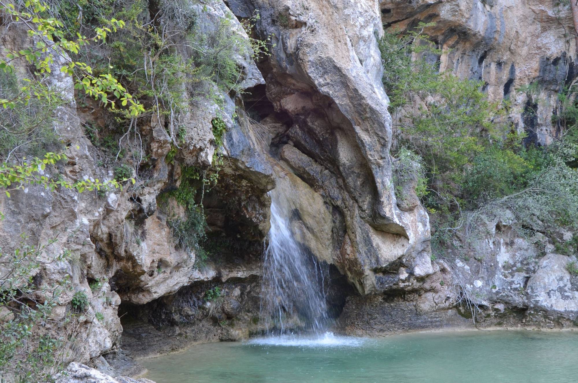Els Gorgs de la Febró